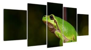 Obraz žaby (Obraz 150x70cm)