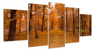 Obraz lesné cesty (Obraz 150x70cm)