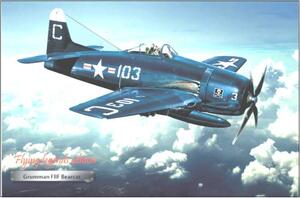 Lietadlo Grumman F8F Bearcat - ceduľa 29cm x 20cm Plechová tabuľa