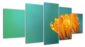 Obraz oranžového kvetu (Obraz 150x70cm)
