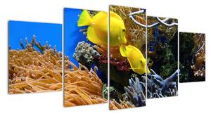 Podmorský svet - obraz (Obraz 150x70cm)