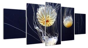 Obraz - medúzy (Obraz 150x70cm)