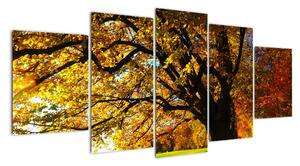 Obraz jesennej krajiny (Obraz 150x70cm)