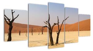 Obraz púšte (Obraz 150x70cm)
