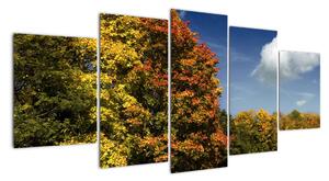 Jesenná krajina, obraz (Obraz 150x70cm)