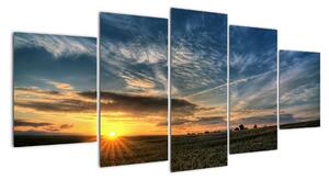 Západ slnka na poli - moderný obraz (Obraz 150x70cm)