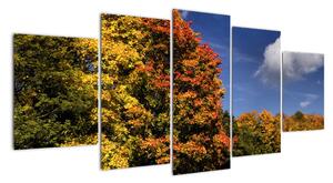 Jesenné stromy - moderný obraz (Obraz 150x70cm)