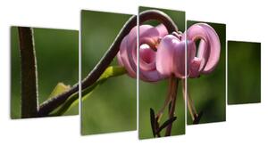 Obraz kvety (Obraz 150x70cm)