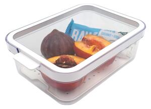 Rotho Organizér do ledničky Cauma box 1,2 L