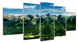 Obraz - panoráma hôr (Obraz 150x70cm)