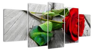 Ruža červená - obraz (Obraz 150x70cm)