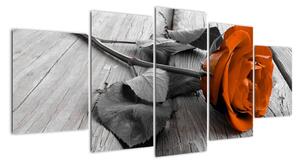 Ruže oranžová - obraz (Obraz 150x70cm)