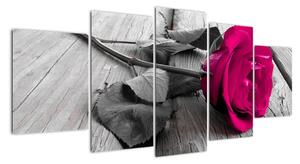 Ruže fialová - obraz (Obraz 150x70cm)