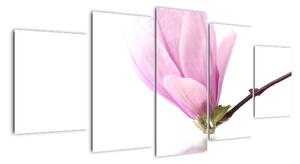 Kvet - obraz (Obraz 150x70cm)