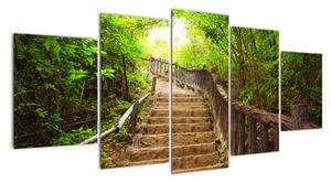 Schody v lese - obraz (Obraz 150x70cm)