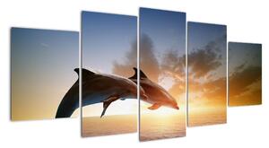 Delfíny - obraz (Obraz 150x70cm)