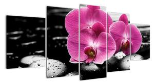 Obraz orchideí (Obraz 150x70cm)