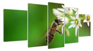 Fotka včely - obraz (Obraz 150x70cm)
