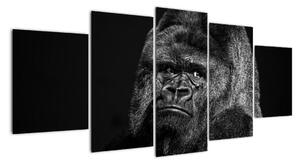 Obraz opice (Obraz 150x70cm)