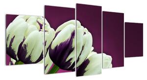 Makro tulipánov - obraz (Obraz 150x70cm)
