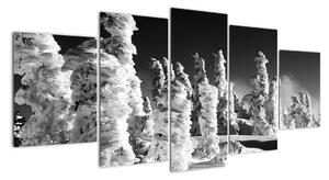 Obraz - zimné hory (Obraz 150x70cm)