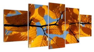 Jesenné lístie - obraz (Obraz 150x70cm)