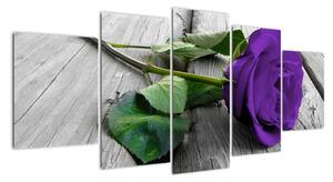 Obrazy kvetov - ruža (Obraz 150x70cm)