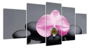 Kvet orchidey - obraz (Obraz 150x70cm)