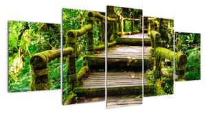 Schody v záhrade - obraz (Obraz 150x70cm)