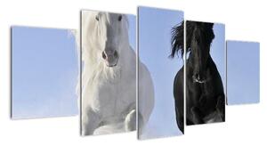 Kone, obraz (Obraz 150x70cm)