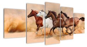 Obraz kôň (Obraz 150x70cm)