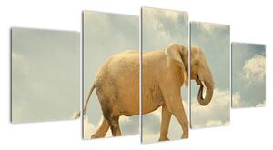 Slon na lane, obraz (Obraz 150x70cm)