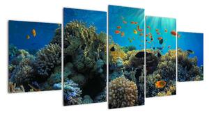 Obraz podmorského sveta (Obraz 150x70cm)
