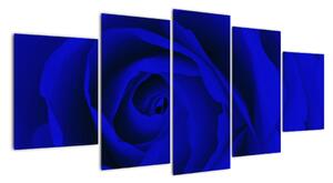Detail modré ruže - obraz (Obraz 150x70cm)