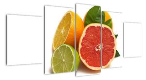 Citrusové plody - obraz (Obraz 150x70cm)