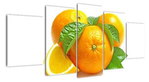 Pomaranče, obraz (Obraz 150x70cm)