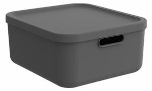 Rotho Albula 20l 39.5 x 35.5 x 17.7cm antracit