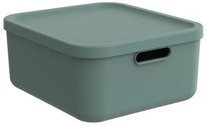 Rotho Úložný box, rovný s vekom, 20 l, matná zelená ALBU LIGHT, 40 x 36 x 18