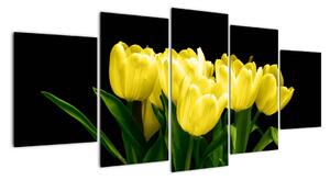 Tulipány - obraz (Obraz 150x70cm)