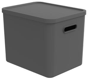 Rotho Úložný box, rovný s vekom, 27l, antracit ALBU LIGHT, 37x29x30