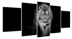 Čiernobiely lev - obraz (Obraz 150x70cm)