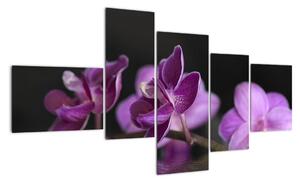 Obraz kvetov (Obraz 150x85cm)