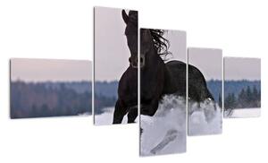 Obraz kone v snehu (Obraz 150x85cm)