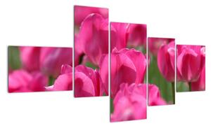 Obraz tulipánov (Obraz 150x85cm)