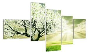 Jarný strom - moderný obraz (Obraz 150x85cm)