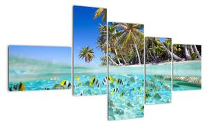 Obraz tropického mora (Obraz 150x85cm)
