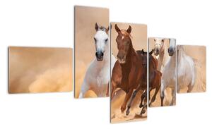 Obrazy bežiacich koní (Obraz 150x85cm)