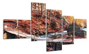 Obraz mosta - jesenné cesta lesom (Obraz 150x85cm)