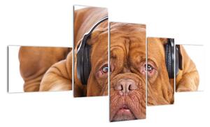 Moderný obraz - pes so slúchadlami (Obraz 150x85cm)