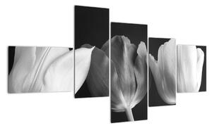 Čiernobiely obraz - tri tulipány (Obraz 150x85cm)